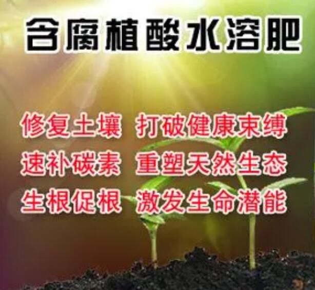 含腐植酸水溶肥功效多，你了解多少？