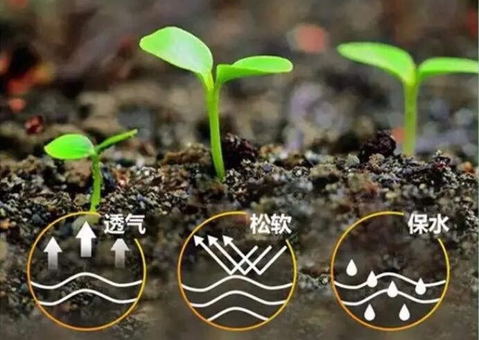生物有机肥好处这么多，怎能忽略它！
