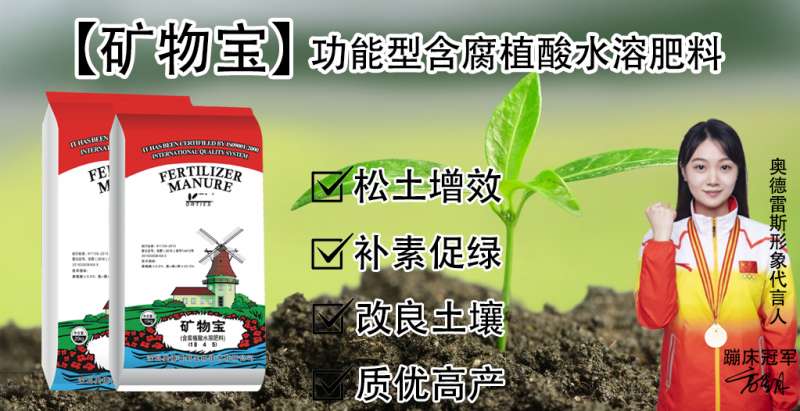 奥德雷斯农业百亩试验：9~10月实战案例效果展示