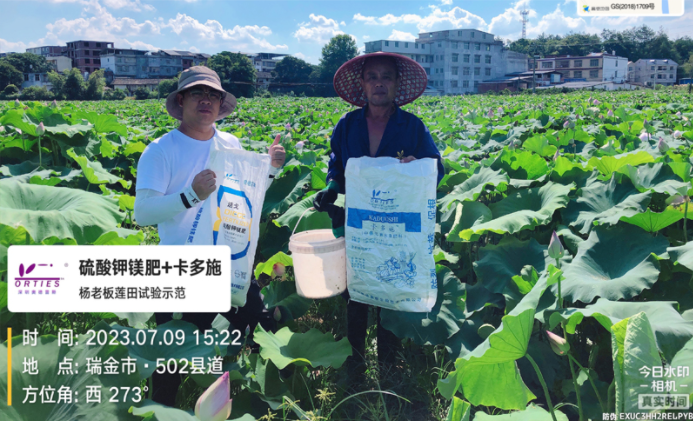 奥德雷斯百亩试验田，我们每天都在行动！
