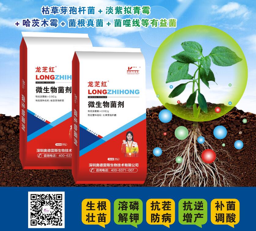 神奇的力量：微生物，植物为什么用微生物菌剂？