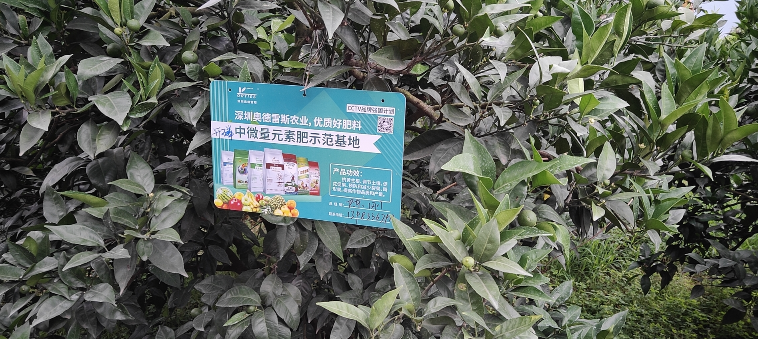 截图20211221100559.png