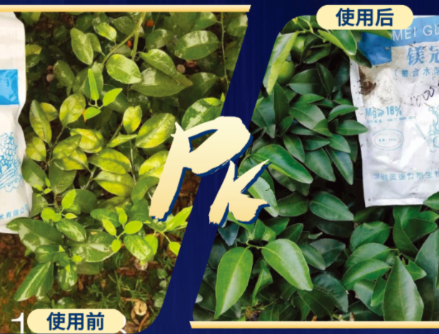 联想截图_20230804105928.png