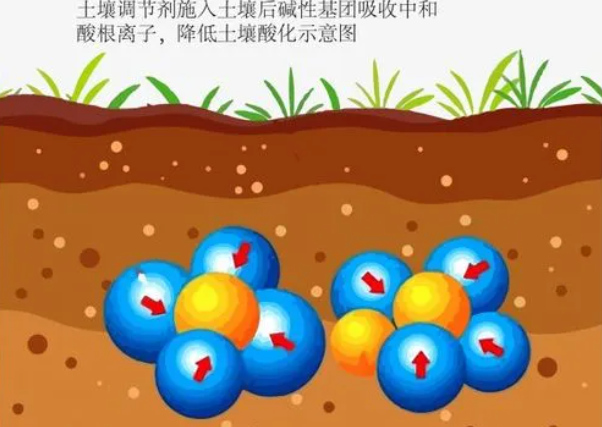 QQ截图20230811114733.png