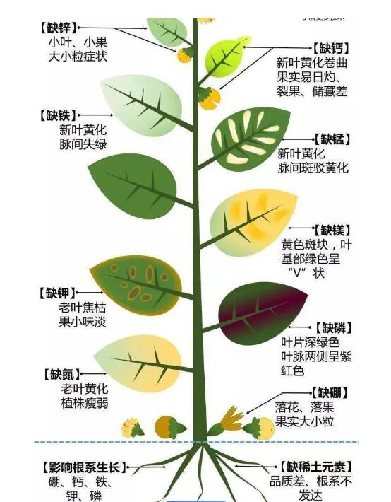 QQ截图20231228113518.jpg